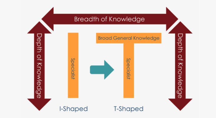 Le competenze di un full stack marketer: guida alle skills comb-shaped 2 i-shaped-and-t-shaped-skills